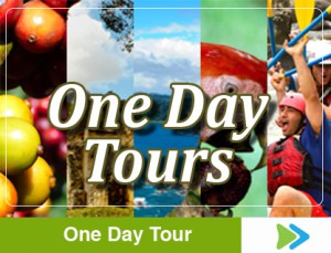 one day tours costa rica