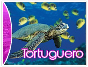 tortuguero Costa Rica