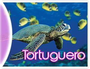 tortuguero Costa Rica