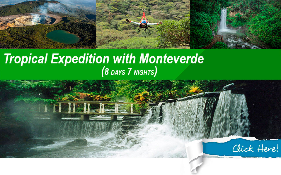 costa rica tropical expedition