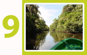 tortuguero costa rica