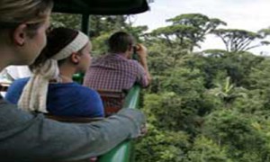 tropical_escape_aerialtram