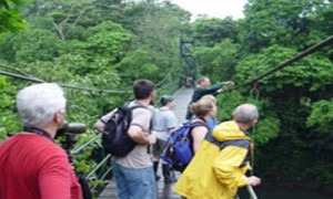 tropical_expedition_monteverde_walks