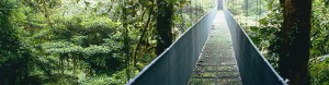 hanging bridges costa rica