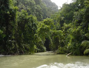 south_pacific_region_4