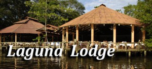 laguna lodge tortuguero