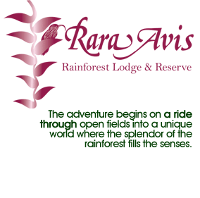 Accommodation Logo