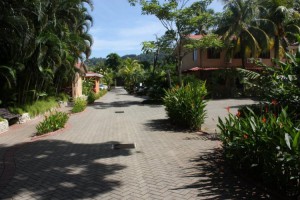 84_247813_507202305957352_1698901257_n