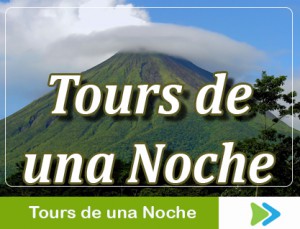 tours de una noche