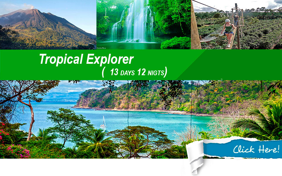 costa rica tropical explorer