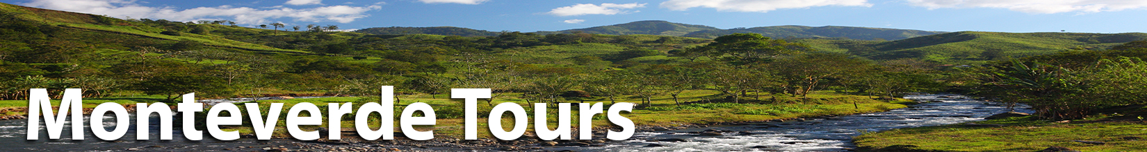Costa Rica Monteverde Tours