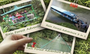 Costa-Rica-Rain-Forest-Adventure