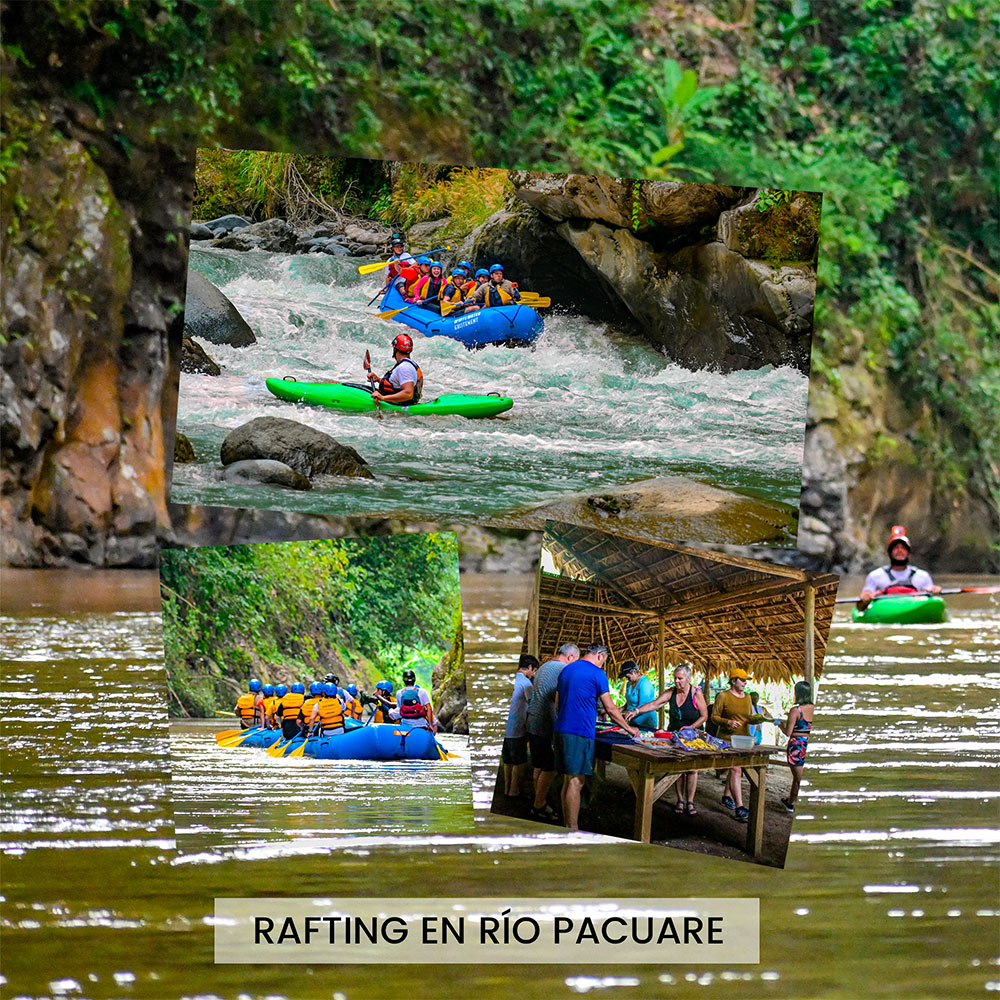 Rafting en aguas blancas del río Pacuare  (III-IV)