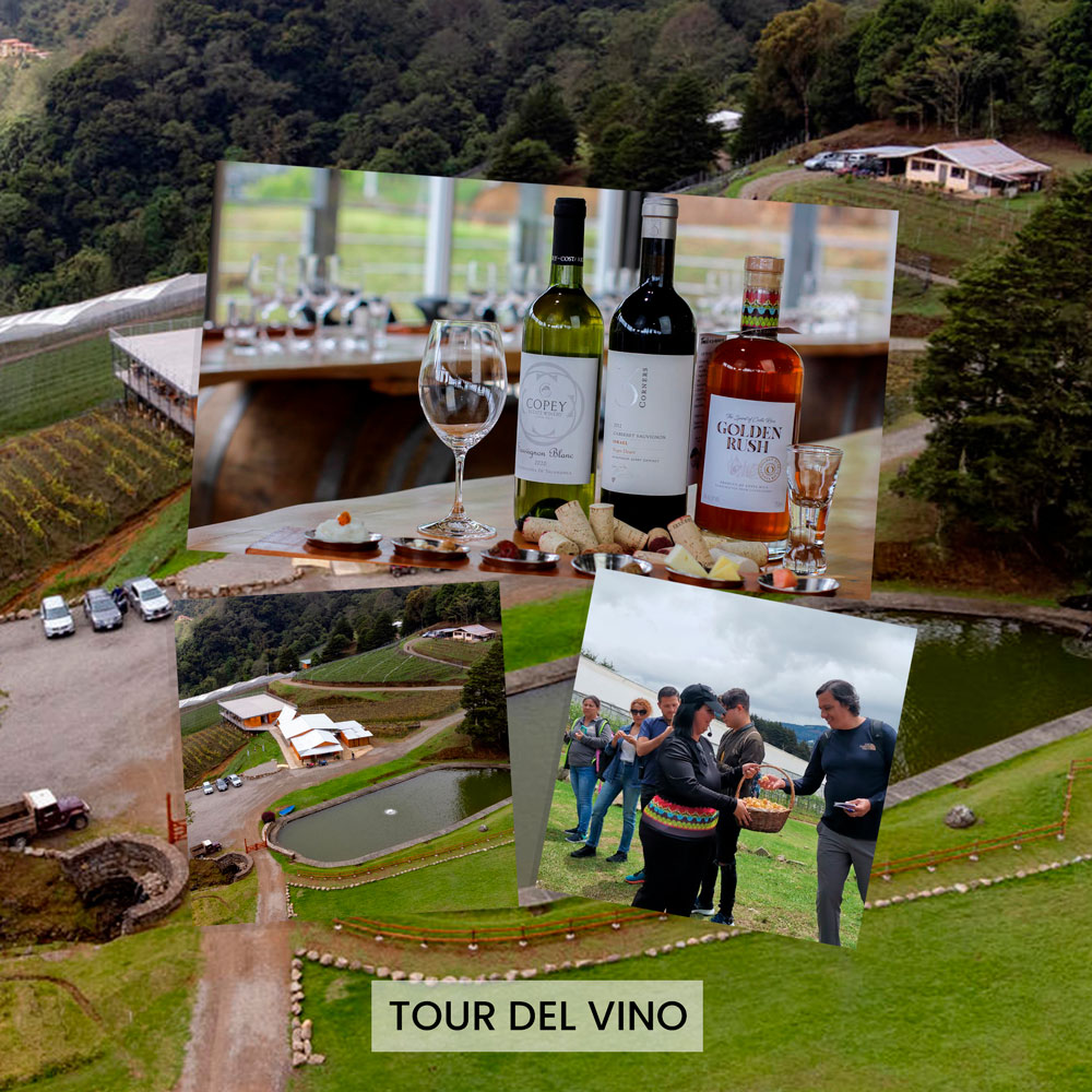 Tour de Vino