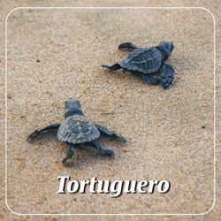tortuguero costa rica